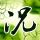 生命之树